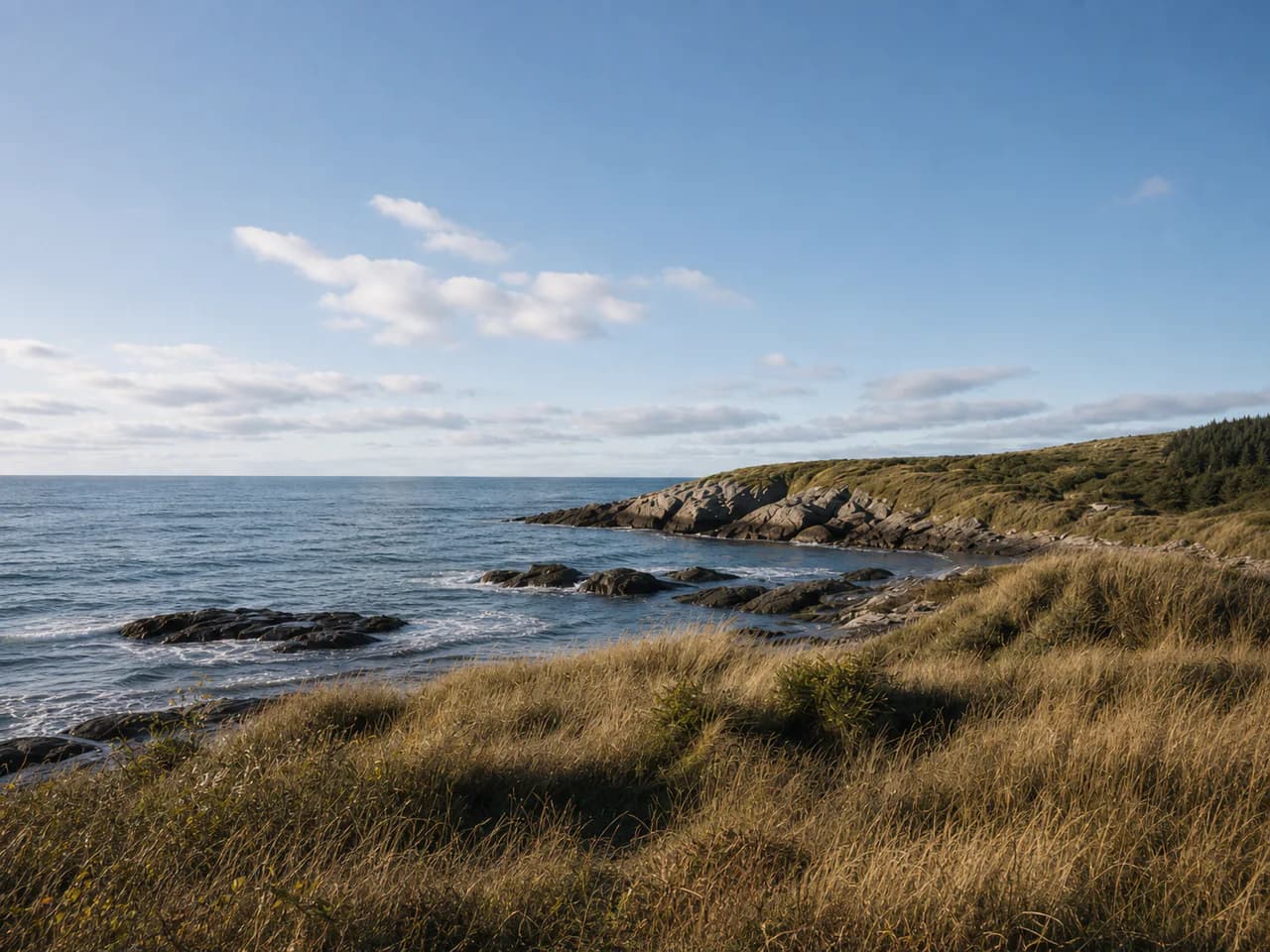 Open coastal horizon in quiet morning light for the Harbor and Vale proposal
